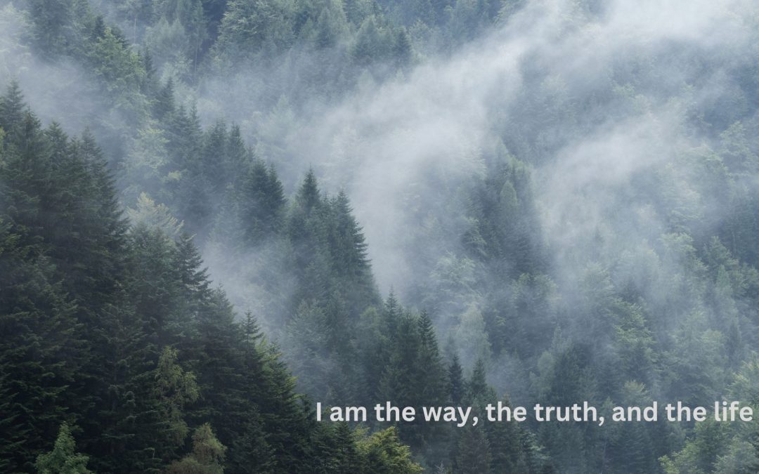 Journey to Clarity & Purpose