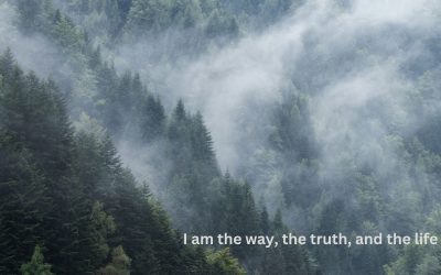 Journey to Clarity & Purpose