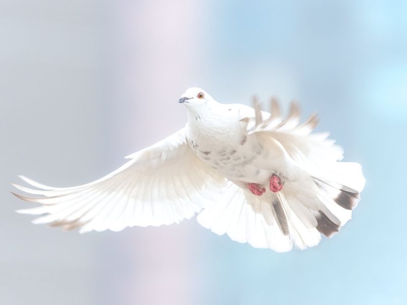 Experience the transformative power of faith and hope in your life.