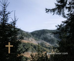 “Let’s think on these early chapters of Hebrews, my friends,” 