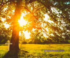 “How did you practice your faith yesterday? What did you do to live it out?”