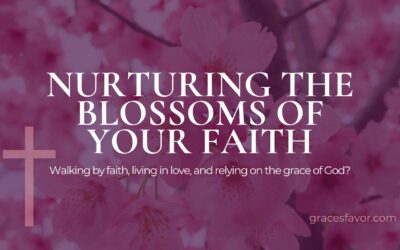 Helping You Grow Your Faith