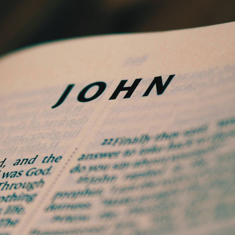 These verses highlight the tension between divine sovereignty and human responsibility.