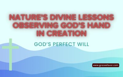 God’s Perfect Will